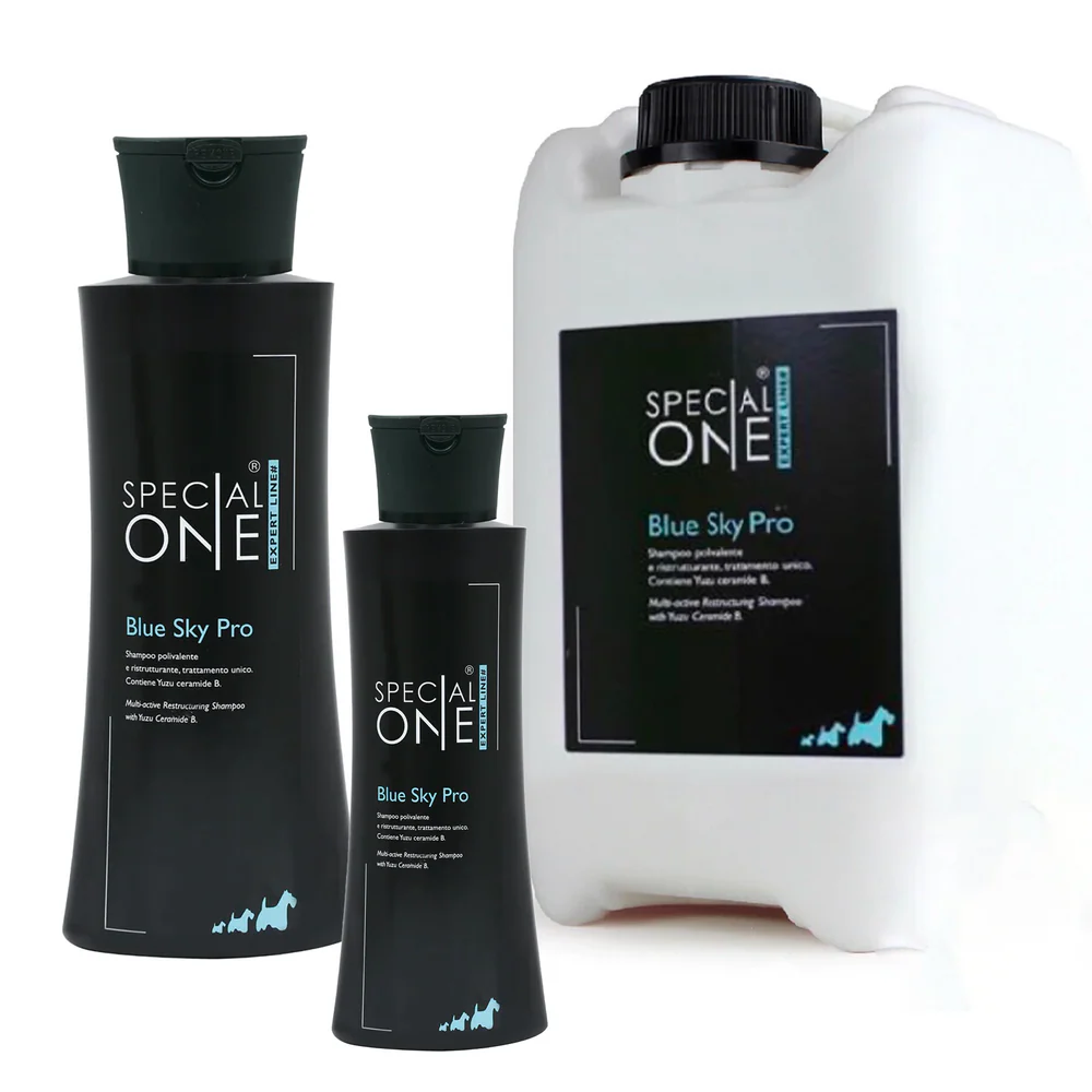 Special One - BLUE SKY PRO, DILUABLE 40 FOIS !