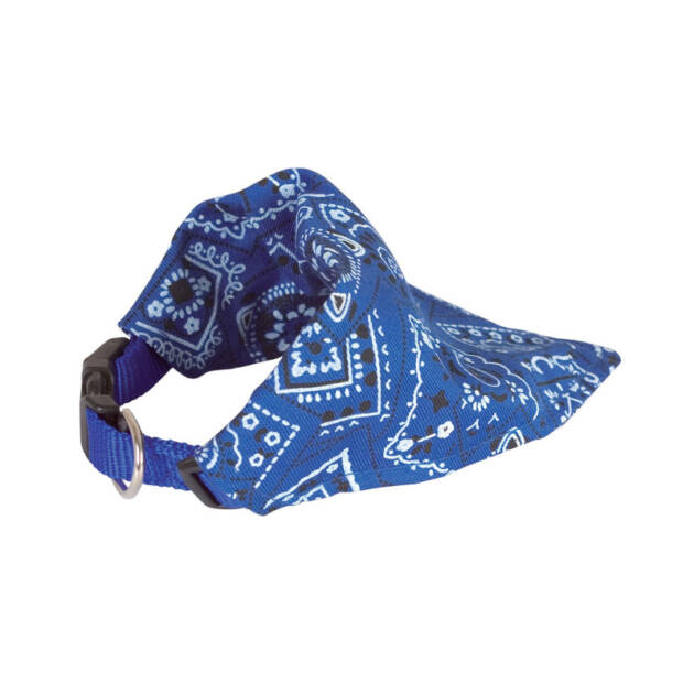 Collier bandana Star - Bleu - 22-37 cm*10 mm