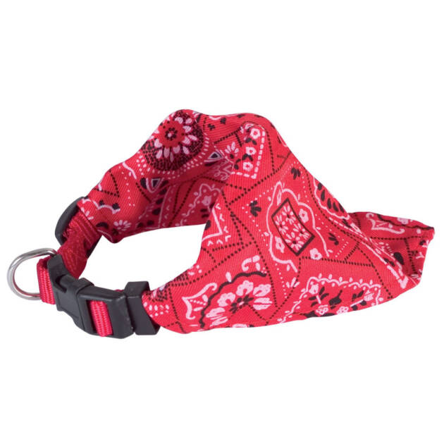 Collier bandana Star - Rouge - 30-48 cm*15 mm