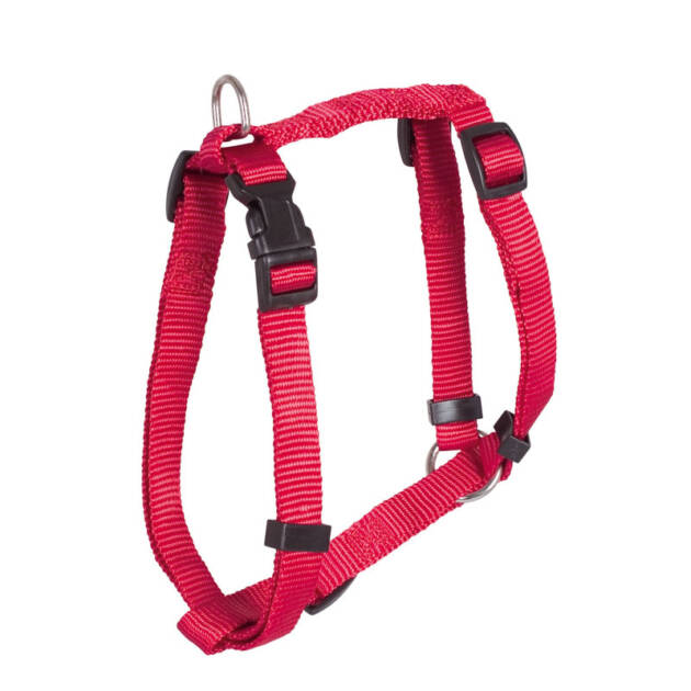 Harnais nylon "Basic" - 40/63 cm*15 mm