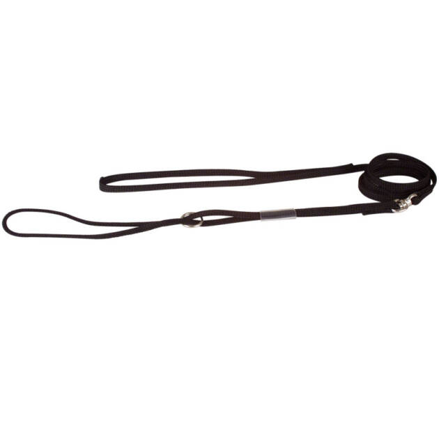 Laisse plate EXPO - Nylon - 120 cm*9 mm - Noir