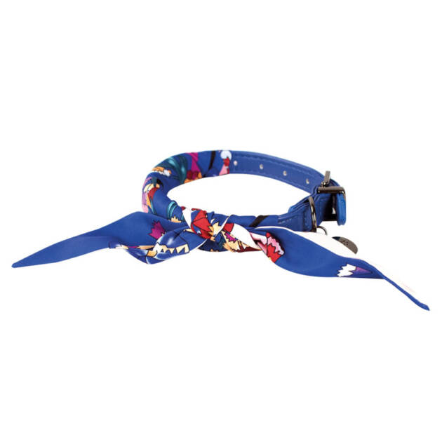 Doogy - Collier So Chic - T40 Bleu