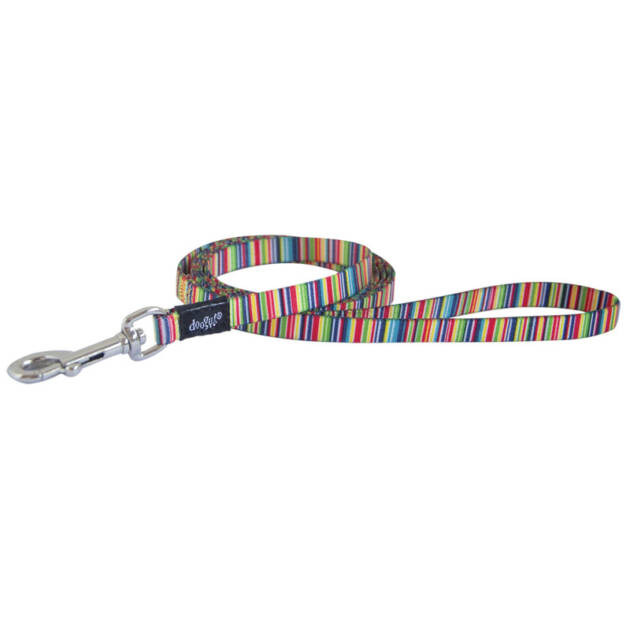 Doogy - Set harnais chat - Arc-en-ciel