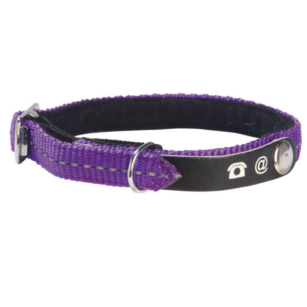 Collier Chat Lost - Violet