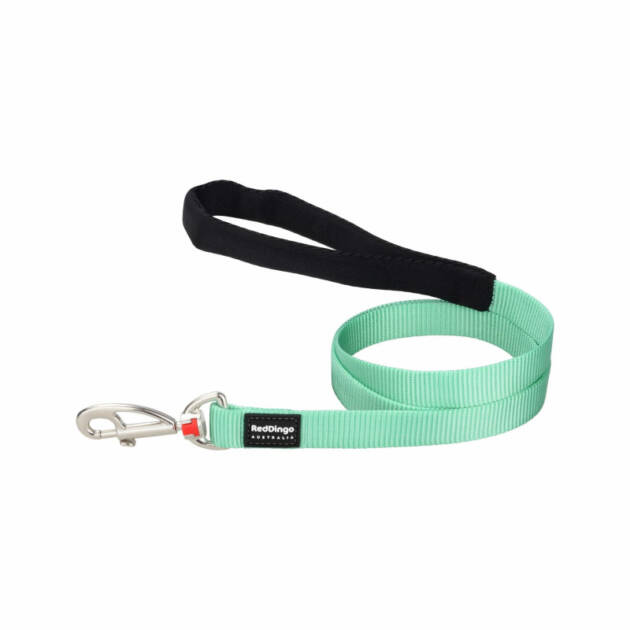 Red Dingo Basic - Laisse poig. - 1,2m x15 mm - Vert