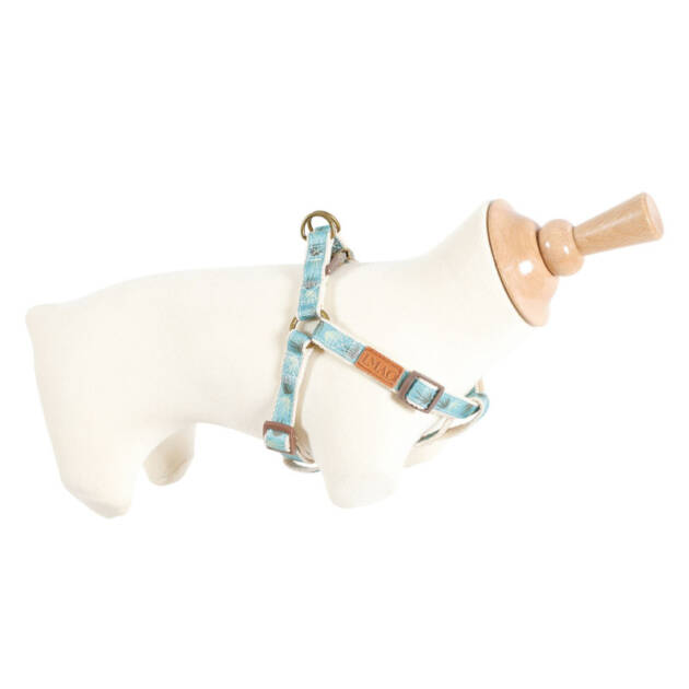 Zolux - Harnais Taïga - 55-80 cm - Bleu