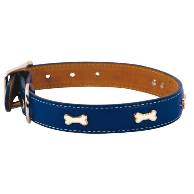 Doogy - Collier cuir Indigo - 20 mm*45 cm