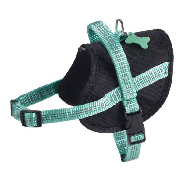 Bobby - Harnais Easy Safe - XXS - Lagon
