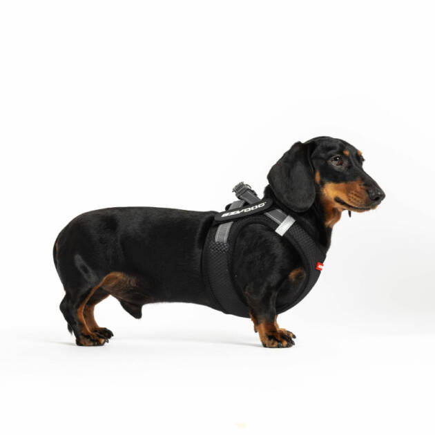 Ezydog - Harnais Mesh Formfit - M - Noir