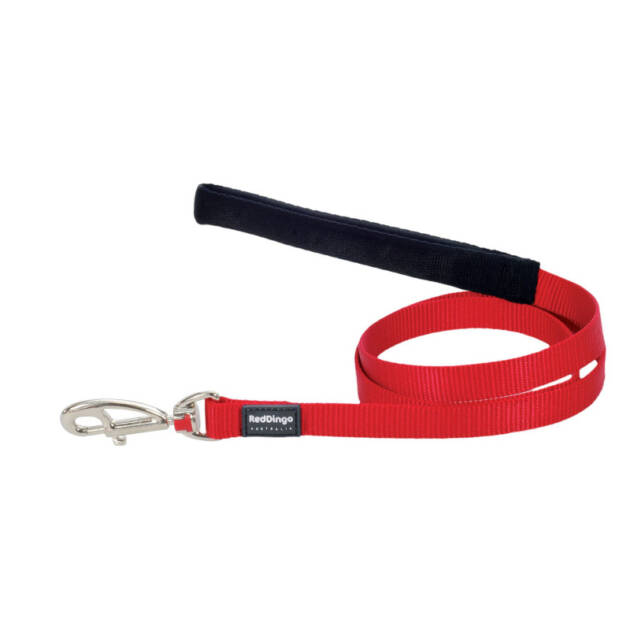 Red Dingo Basic - Laisse poig. - 1,2m*25 mm