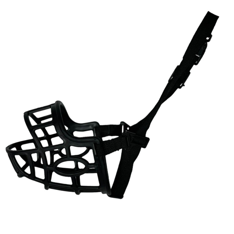 Arppe - Muselière TPR