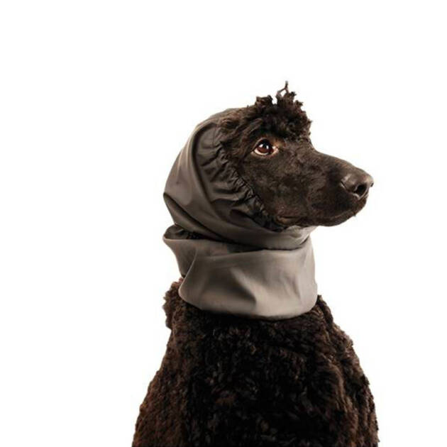 ShowTech - Snood - Waterproof