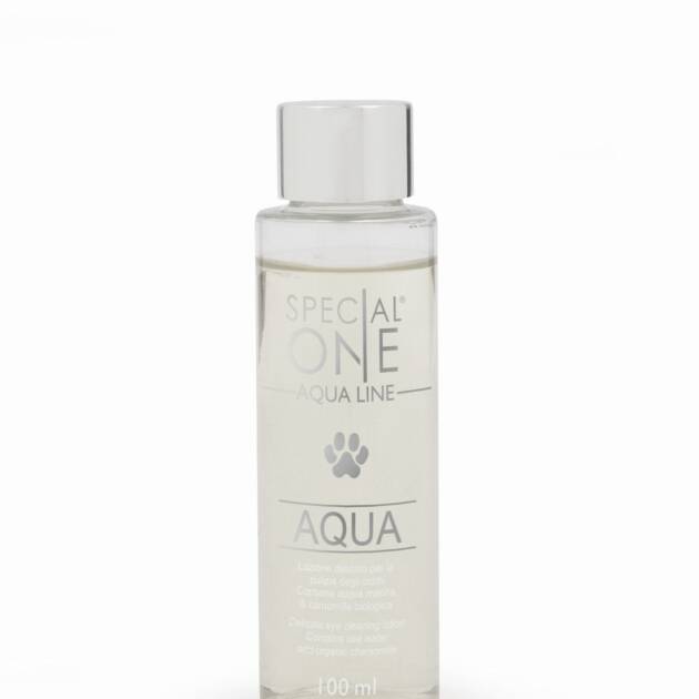 Special One – Aqua