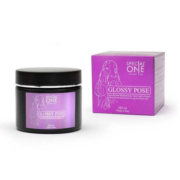 Special One – Glossy Pose