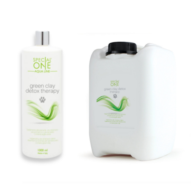 Special One – Green Clay Detox Therapy