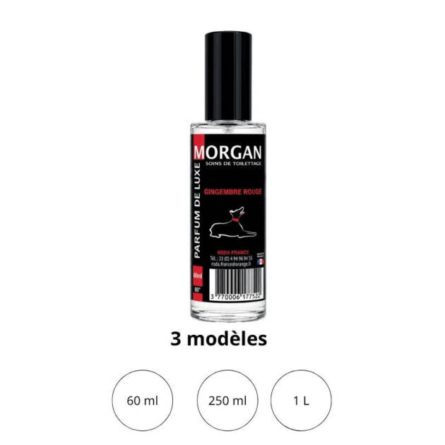Parfum de luxe Gingembre frais