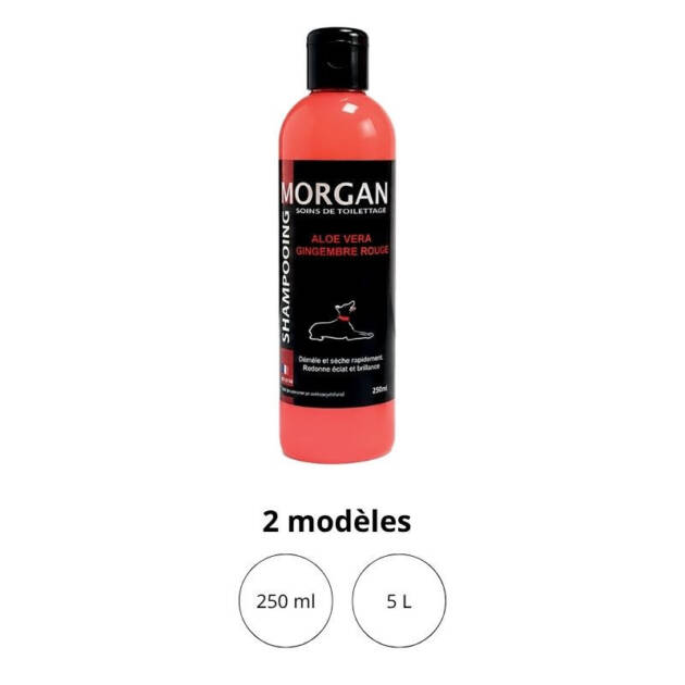 Shampoing Aloe Vera & Gingembre Rouge Morgan